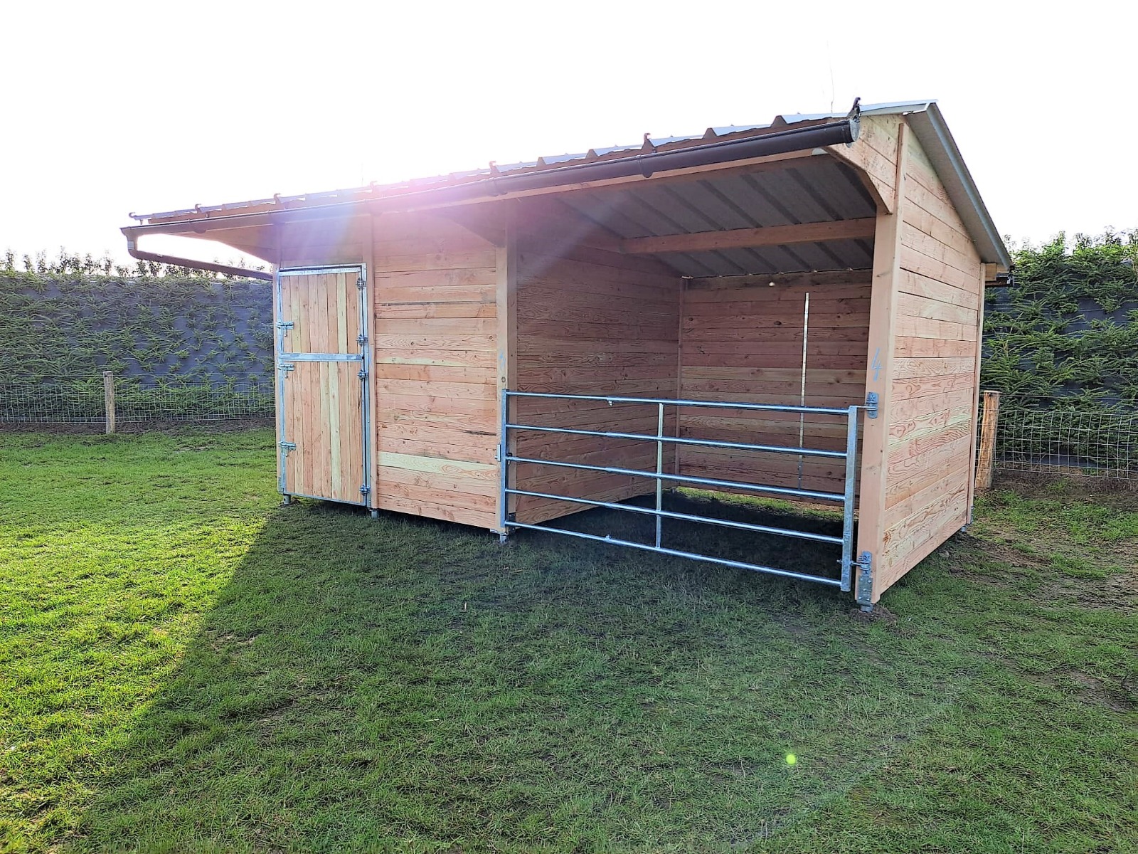 Paard en schuilstal